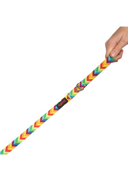 Kedi Köpek Sevk & Gezdirme Kayışı RAINBOW 130x2cm