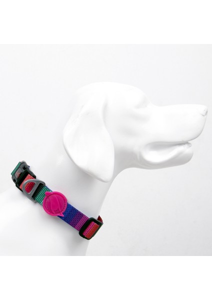 Wave Boyun Tasması Ayarlanabilir Dayanıklı Ve Konforlu Köpek Desenli