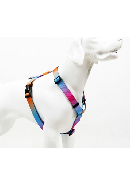 Pass H-tipi Göğüs Tasması Ayarlanabilir, Konforlu Ve Dayanıklı Desenli Köpek Tasması