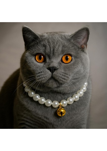 Kedi Kolyesi