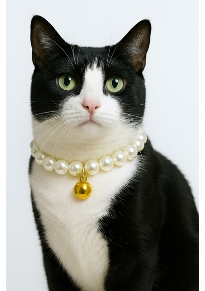 Kedi Kolyesi