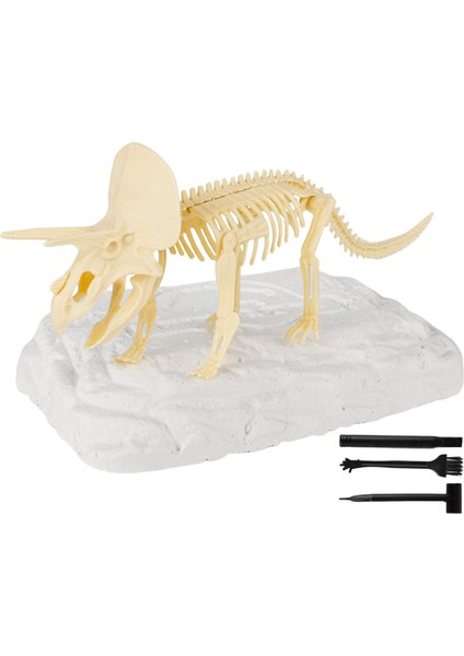 Eğitici Dinozor Duyusal Kitleri Triceratops (Yurt Dışından)