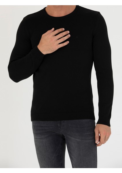 Erkek Siyah Slim Fit Bisiklet Yaka Triko Kazak 50270175-VR046