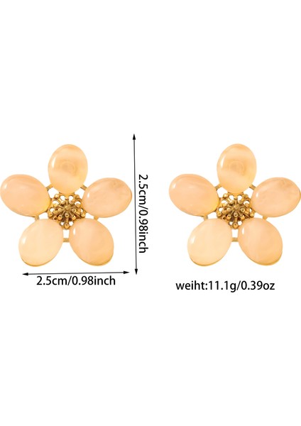 Basit Mizaç Geometrik Küpe Moda Kişilik Küpe Kadın (Yurt Dışından)