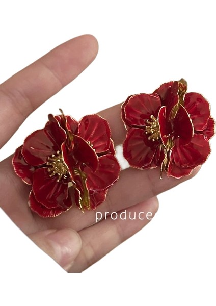 Küpeler Dişi Niş Mizaç (Yurt Dışından)