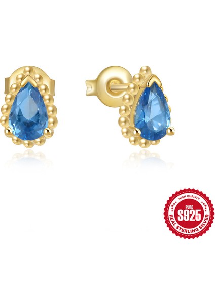 Yeni Niş Tasarım Küpe S925 Ayar Gümüş Fransız Küpe Toka Moda (Yurt Dışından)