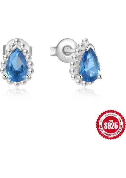 Yeni Niş Tasarım Küpe S925 Ayar Gümüş Fransız Küpe Toka Moda (Yurt Dışından)