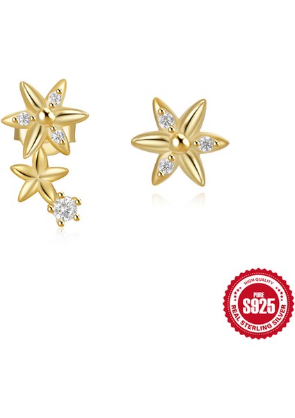 Yeni Niş Tasarım Küpe S925 Ayar Gümüş Fransız Küpe Toka Moda (Yurt Dışından)