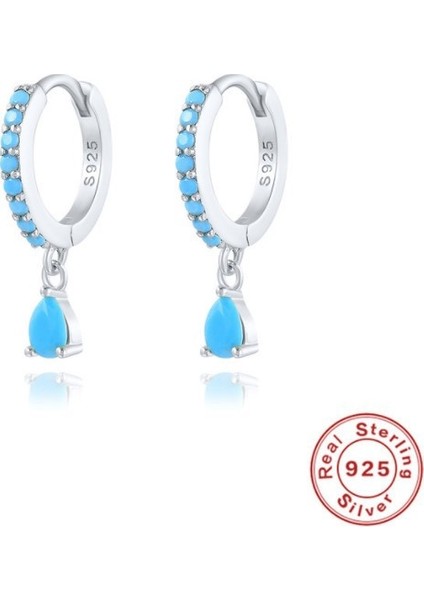 S925 Gümüş Küpe Küpe Moda Kulak Tokası Küpe Damla Küpe (Yurt Dışından)