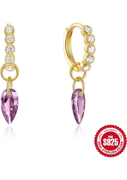 Yeni Niş Tasarım Küpe S925 Ayar Gümüş Fransız Küpe Toka Moda (Yurt Dışından)