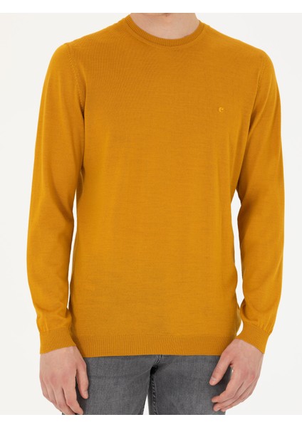 Erkek Sarı Slim Fit Bisiklet Yaka Triko Kazak 50270174-VR044