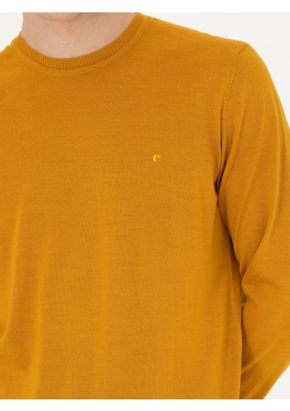Erkek Sarı Slim Fit Bisiklet Yaka Triko Kazak 50270174-VR044