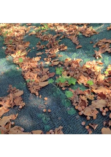 Fındık Toplama Filesi – Yüzde 55LIK Fındık Filesi – Yeşil - 4 Metre x 16 Metre