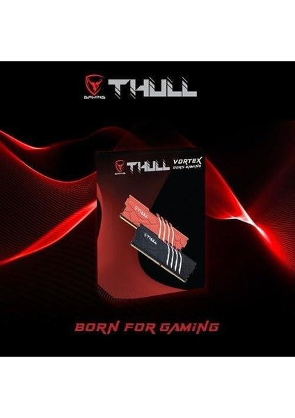 Vortex 32GB Kıts (2X16GB) 6000MHZ CL30 1,3V Red Heatsınk Ddr5 Ram THL-PCVTX4800D5-32G-R