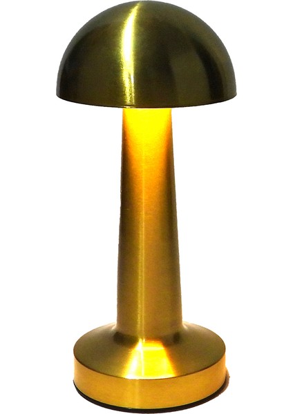 Masa Üstü LED Lamba 3 Seçenekli Dokunmatik Lamba Şarjlı 25 cm