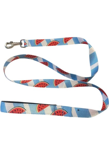 Watermelon Köpek Gezdirme Kayışı 120 cm x 2,5 cm fırsatları