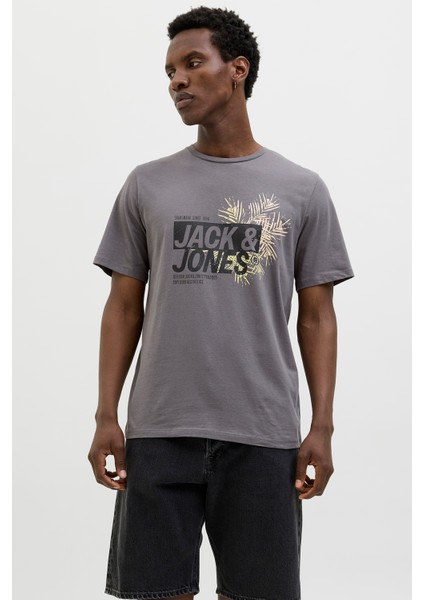 Jjjaxon Pamuklu Regular Fit Logo Baskılı T Shirt Erkek T Shirt 12269390 modelleri