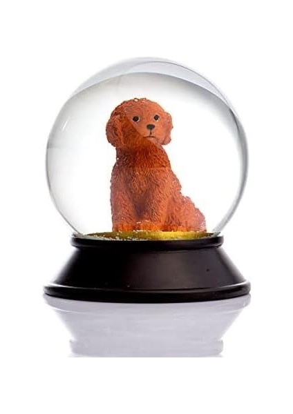 Cam ve Reçine Altın Patiler Köpek Toy Poodle (Tarçın) Kar Küresi Hediye