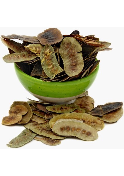 Açlık Otu (500 gr)
