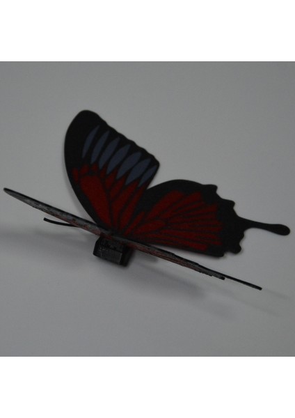 Kelebek Desenli Buzdolabı Magneti Kırmızı - Siyah modelleri