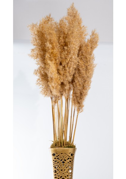Fil Ayak Gold Pampas Çiçekli vazo