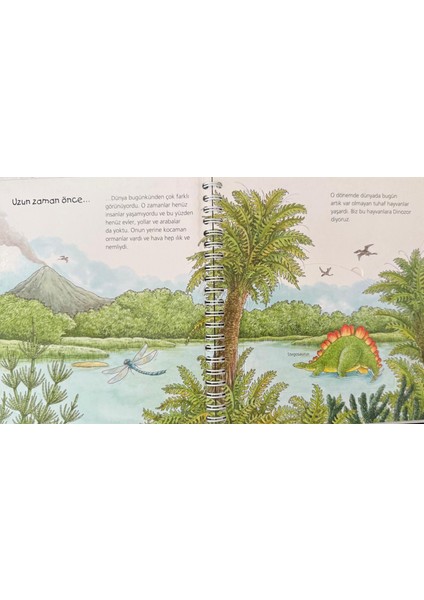 Ravensburger Minikler Serisi: Dinazorlar - Angela Weinhold