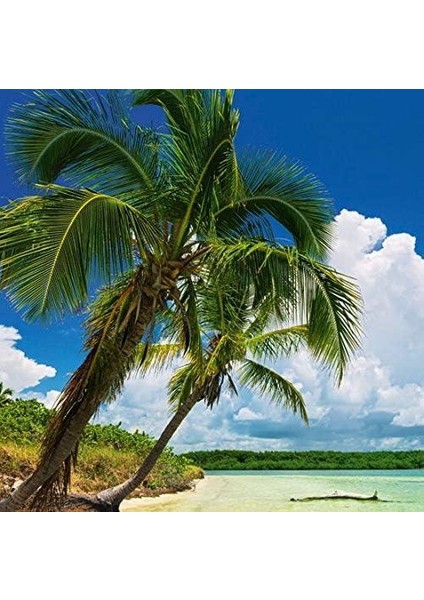 Puzzle Paradise Palm 2000 Parça Panorama