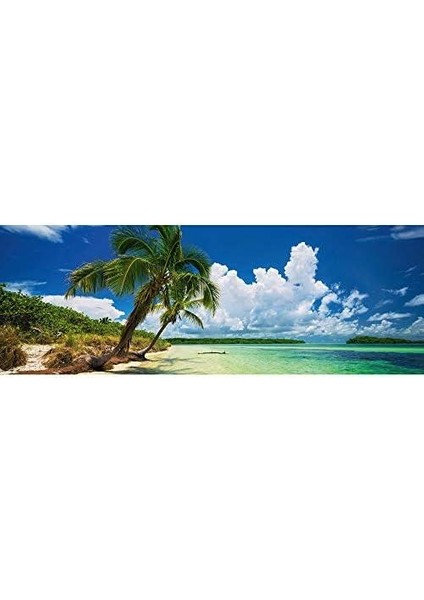Puzzle Paradise Palm 2000 Parça Panorama