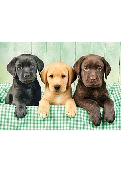 - 1000 Parça Hq Collection Yetişkin Puzzle - Three Labs