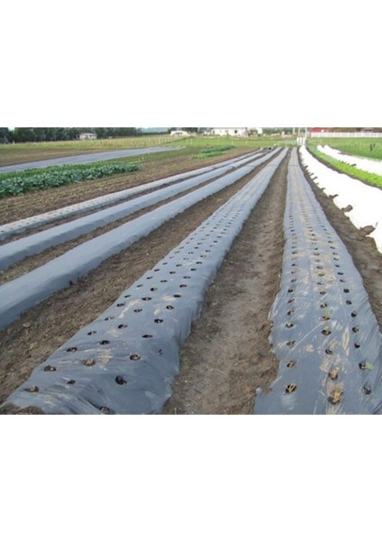 Sebze Naylonu 1.20X50 Metre Domates Naylonu Siyah Malç Naylonu
