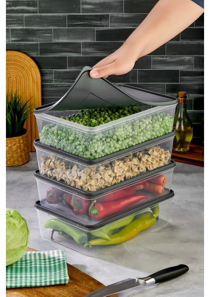 Mikrodalga ve Derin Dondurucuya Uygun Freshkeep Saklama Kabı 5'li Set - Gri