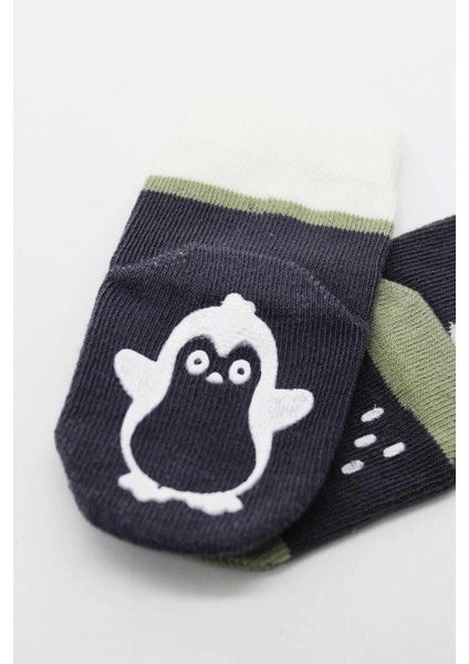 Bistyle Hayvan Figürlü Kaymaz Erkek Soket Çorap 2'li BS10119 Antrasit modelleri