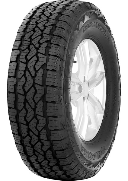 205/70 R16 97T Competus A/t 3 4x4 Oto Yaz Lastiği (Üretim Yılı:2025)