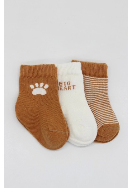 Bistyle 3'lü Penye Soket Çorap BS10110 Hardal fiyatları