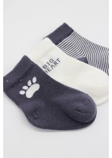 Bistyle 3'lü Penye Soket Çorap BS10110 Antrasit fırsatları