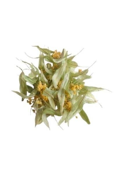 Ihlamur Yapraklı Çiçek Toros Yayla 30 gr