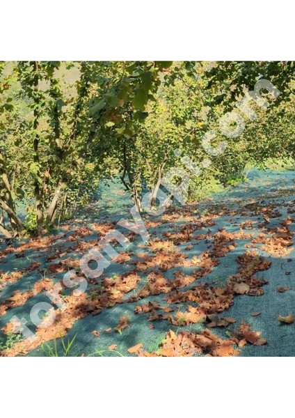 Fındık Filesi – Ürün Toplama Filesi – Yüzde 40LIK – Yeşil - Düz - 4 Metre x 15 Metre