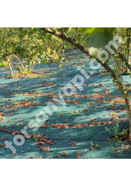 Fındık Filesi – Ürün Toplama Filesi – Yüzde 40LIK – Yeşil - Düz - 4 Metre x 15 Metre
