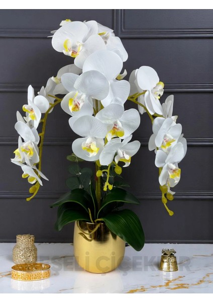 Yapay Çiçek Beyaz Islak Orkide 3 Dallı Lüks Gold Metal Saksıda 55 cm Dekoratif Hediye Çiçek