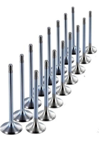 Supap Megane 1.4 1.6 16V K4M K4J