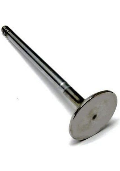 Supap Brava Marea 1.8 16V