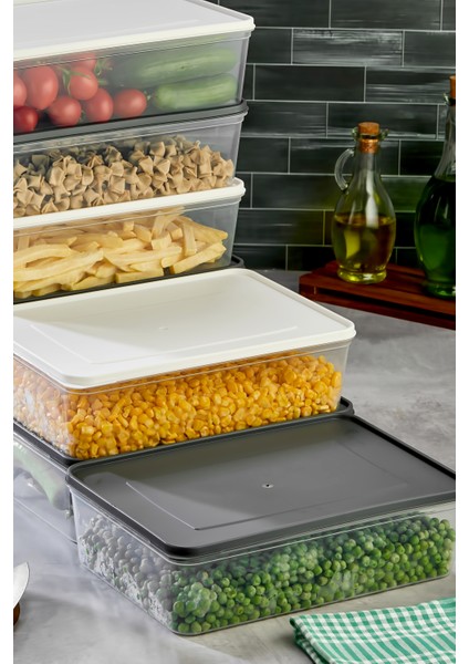 Mikrodalga ve Derin Dondurucuya Uygun Freshkeep Saklama Kabı 8'li Set - Gri / Beyaz fırsatları