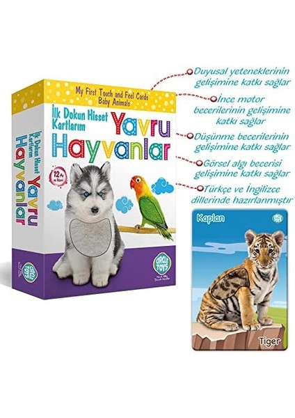 Toys Dokun Hisset Yavru Hayvanlar
