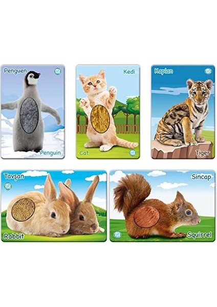 Toys Dokun Hisset Yavru Hayvanlar
