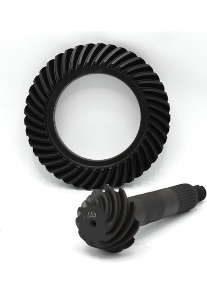 Ayna Mahruti Doğan Kartal Şahin