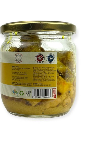 Körili Tavuk modelleri