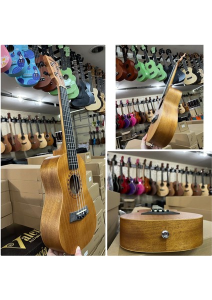 Concert Maun Ağacı Ukulele Kılıf Pena Dahil Kod 0361