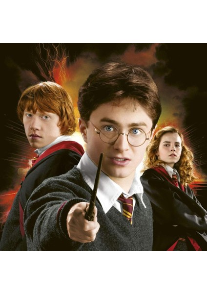 Ravensburger Harry Potter Hafıza Oyunu 206483 modelleri