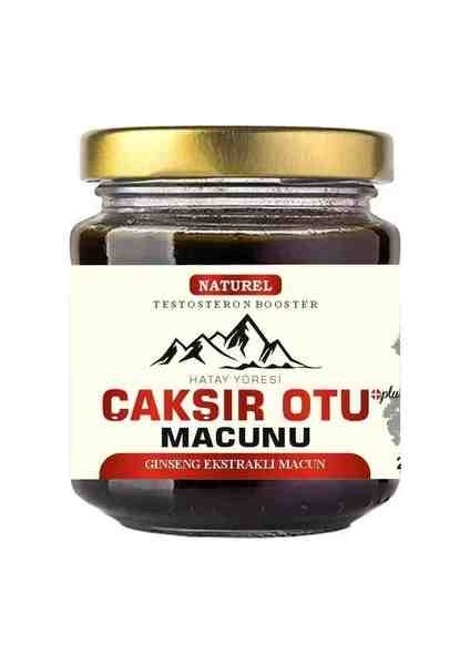 Çakşır Otu Macunu