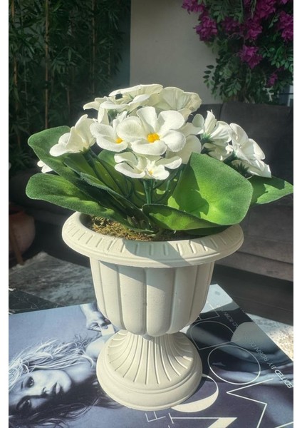 4lü Set Yapay Çiçek Krem Antik Saksıda Karışık Renk Kadife Menekşe Gerçekçi Doku 22CM